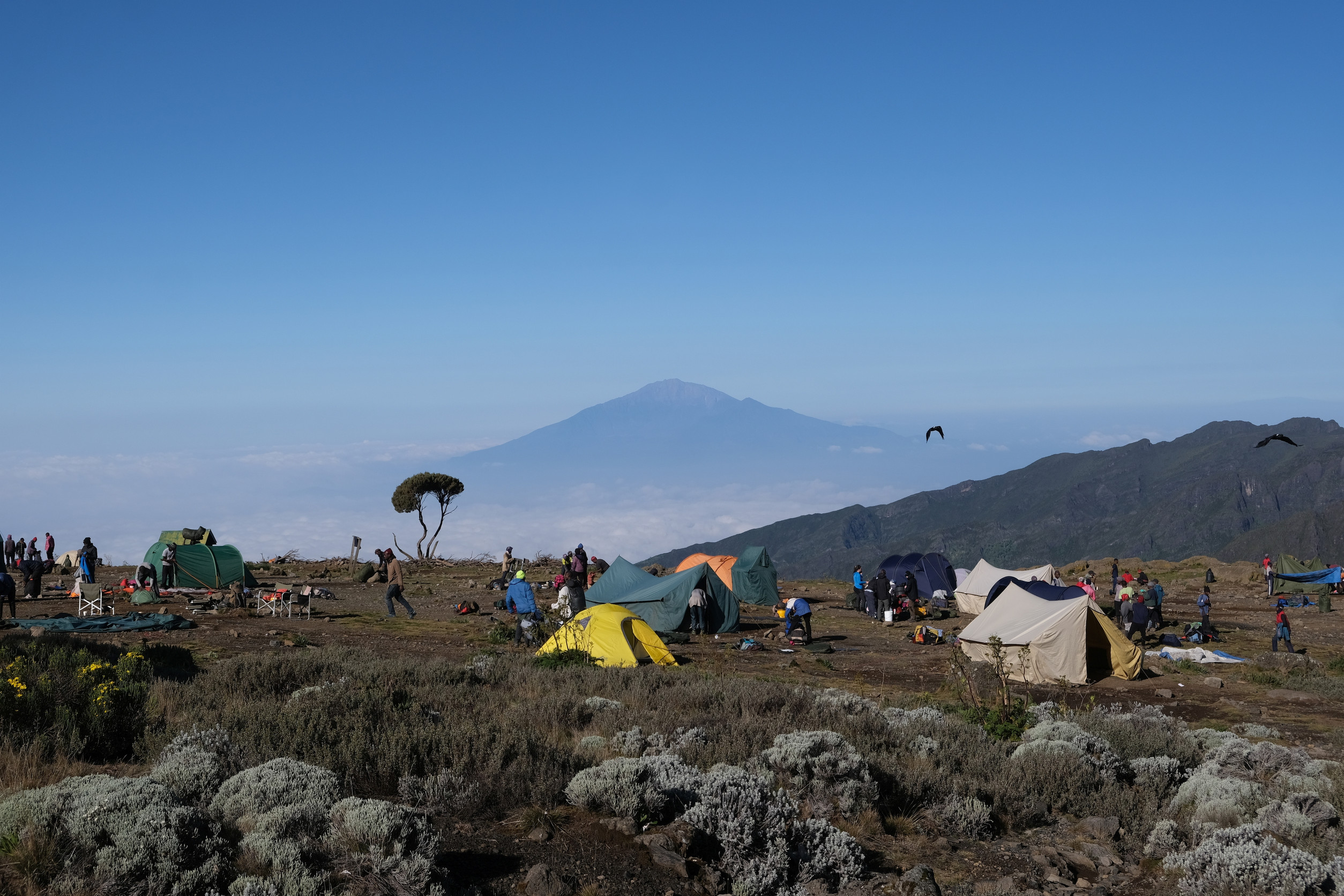 Waterfalls and forest in Arusha National Park with Mount Meru — 700×525