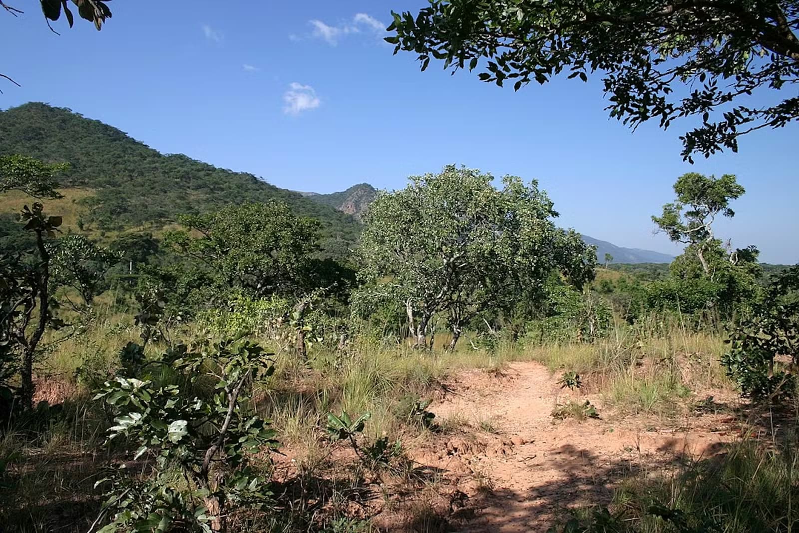 Dar es Salaam to Nyerere National Park (Selous