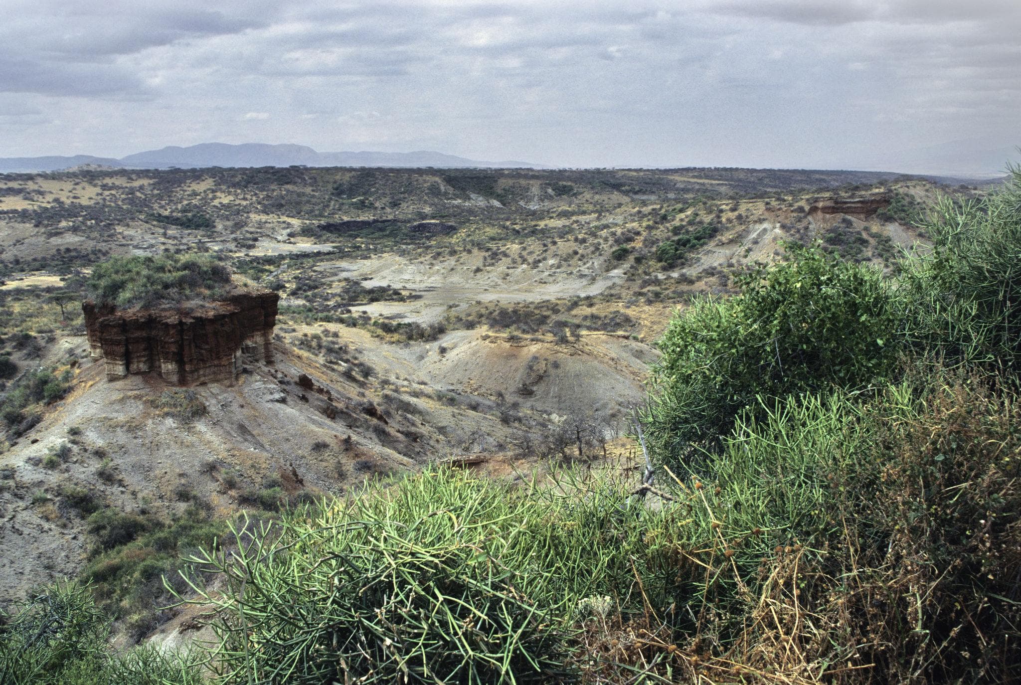 Ancient excavation site at Olduvai Gorge