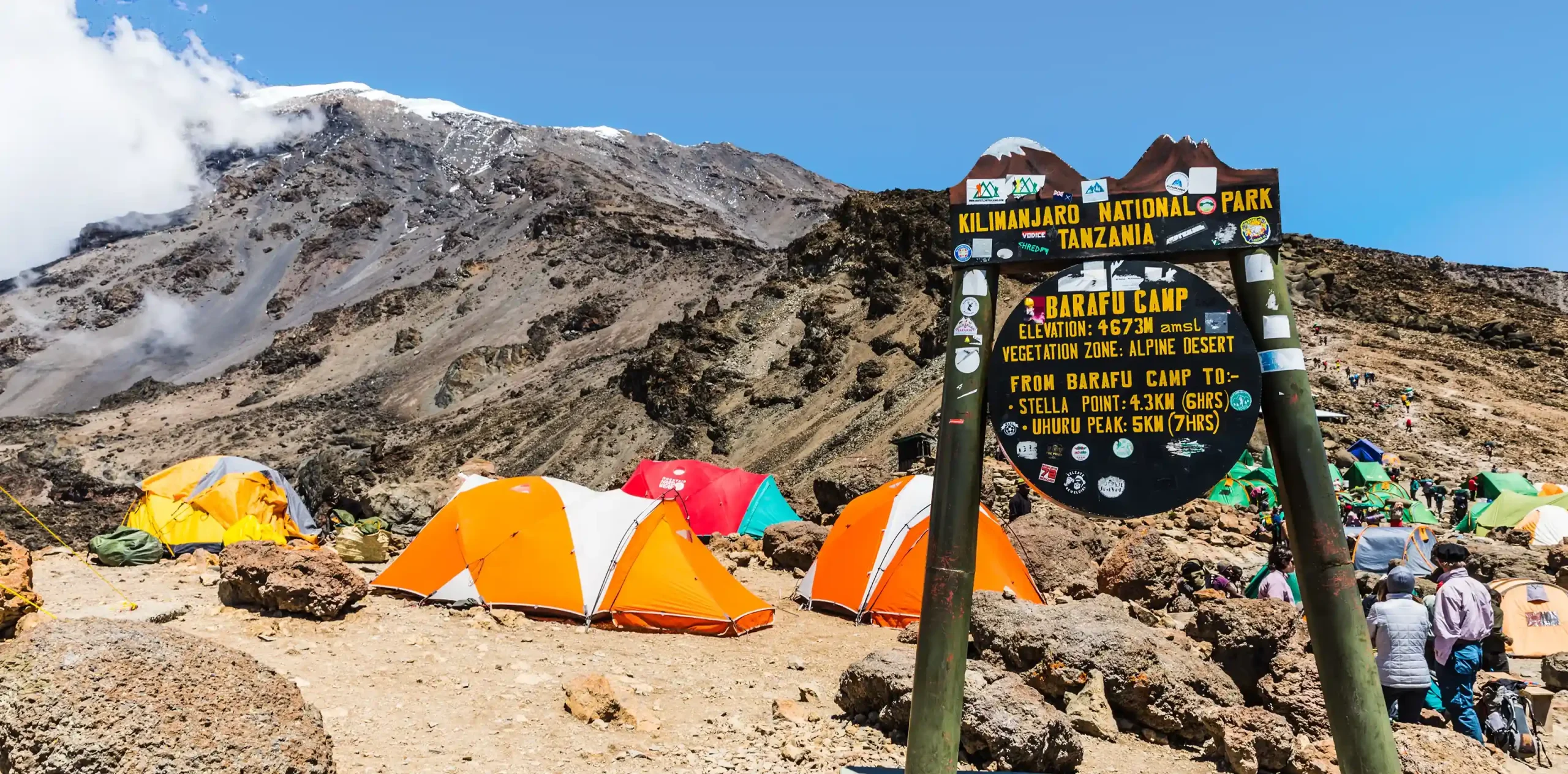 Kilimanjaro guides and climbers ascending together safely