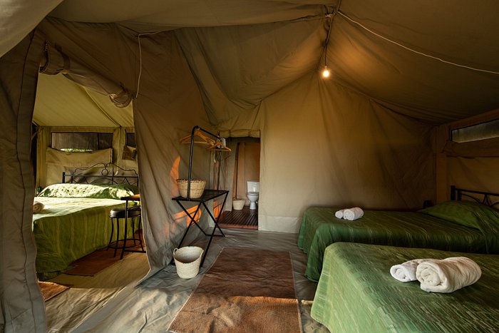 Classic canvas tented camp lit at dusk in the bush — 800×500
