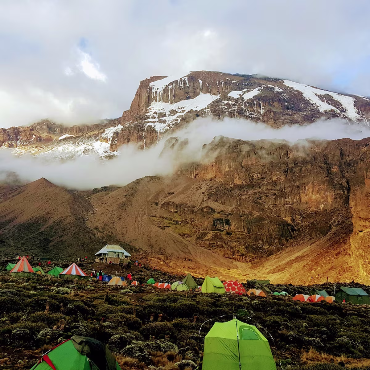 Kilimanjaro porters and camp set up at a mountain campsite