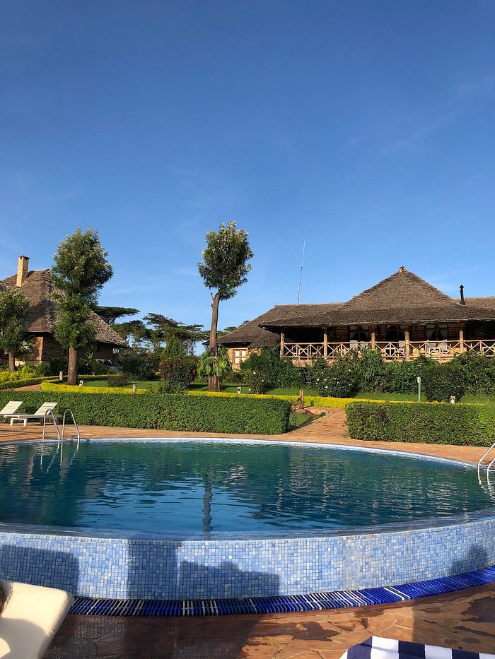 Elegant safari lodge interior with a view of the plains — 800×500