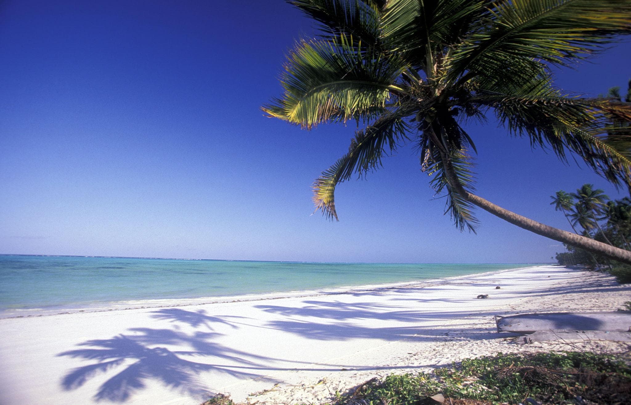 Zanzibar Beach Relaxation