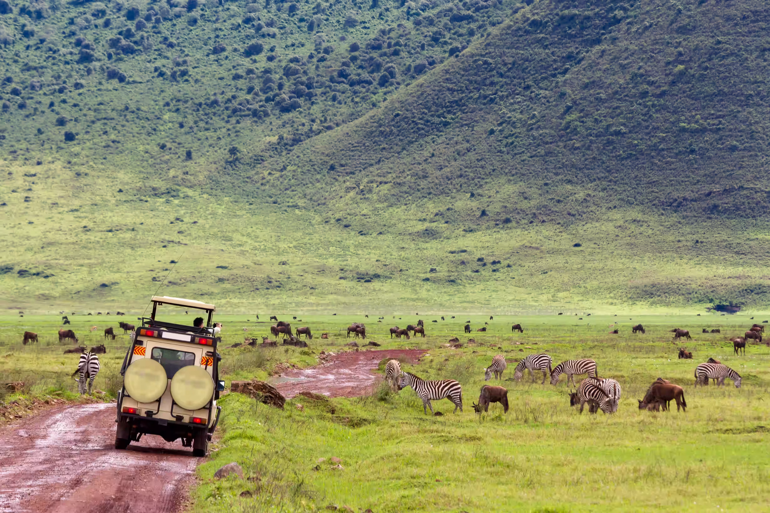 Safari vehicle descending into the Ngorongoro Crater at dawn