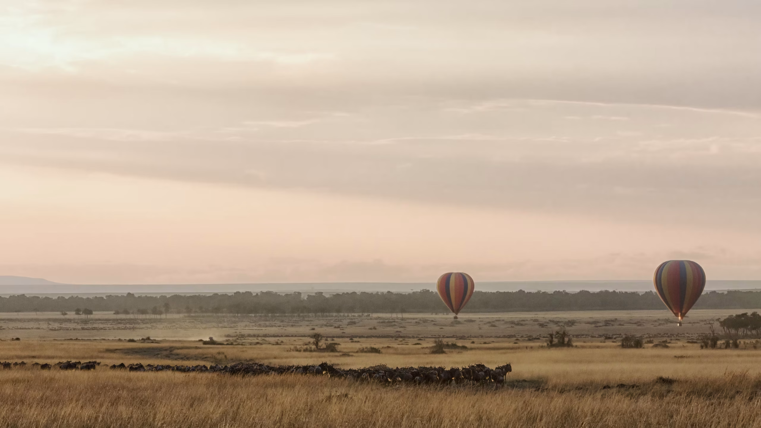 Balloon crew preparing the envelope before a dawn flight