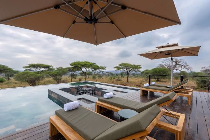 Infinity pool overlooking the Tarangire plains — 700×700