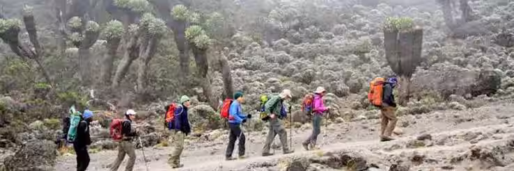 A guide checking a climber&rsquo;s oxygen levels with a pulse oximeter