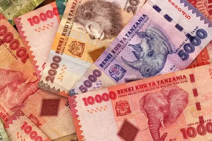 Tanzanian shillings and a local market scene